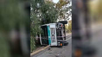 Un camión recolector volcó en la Costanera, derribó un árbol y provocó demoras en el tránsito