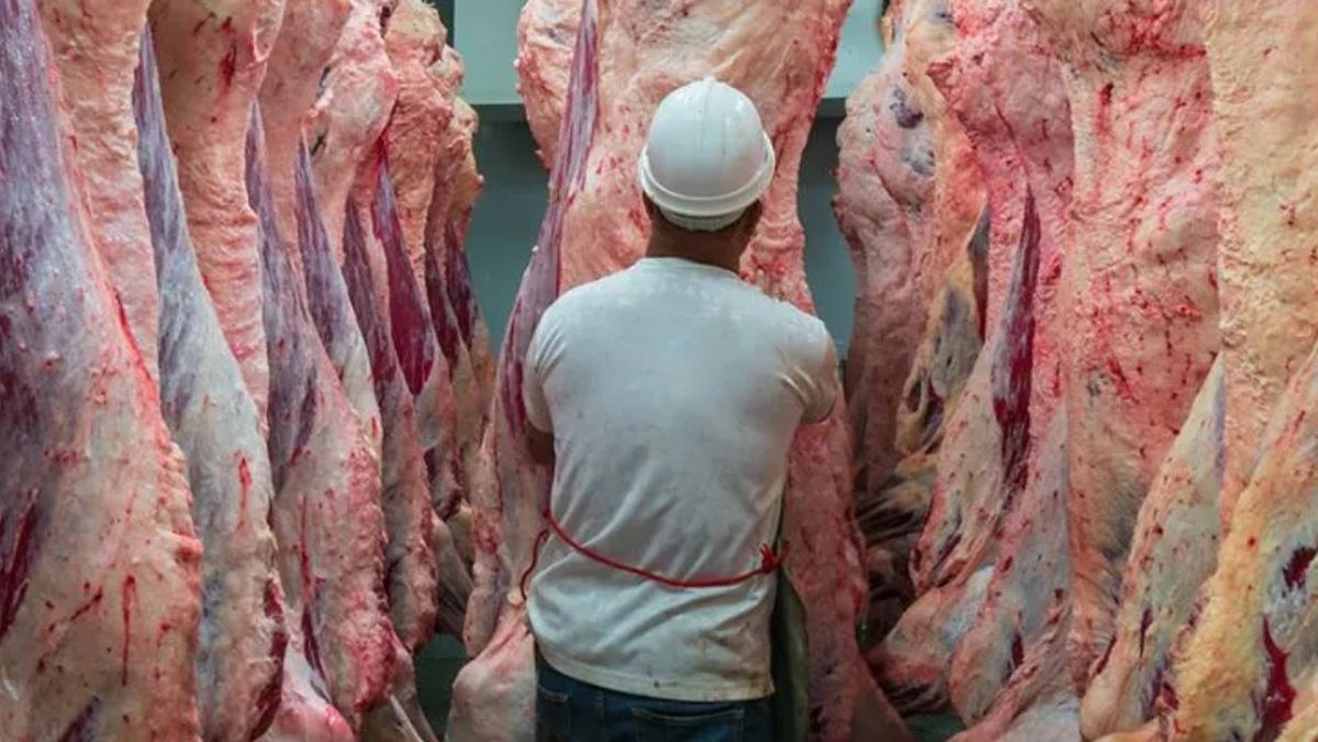 Aunque la retención de vientres presiona sobre el precio de la carne, la media res de novillo se abarataron hasta 15% después de Pascua