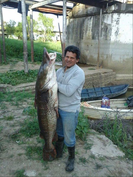 Sacó un surubí de 53 kilos