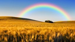 El mito del origen del arcoíris: la leyenda detrás de un fenómeno único en el  cielo