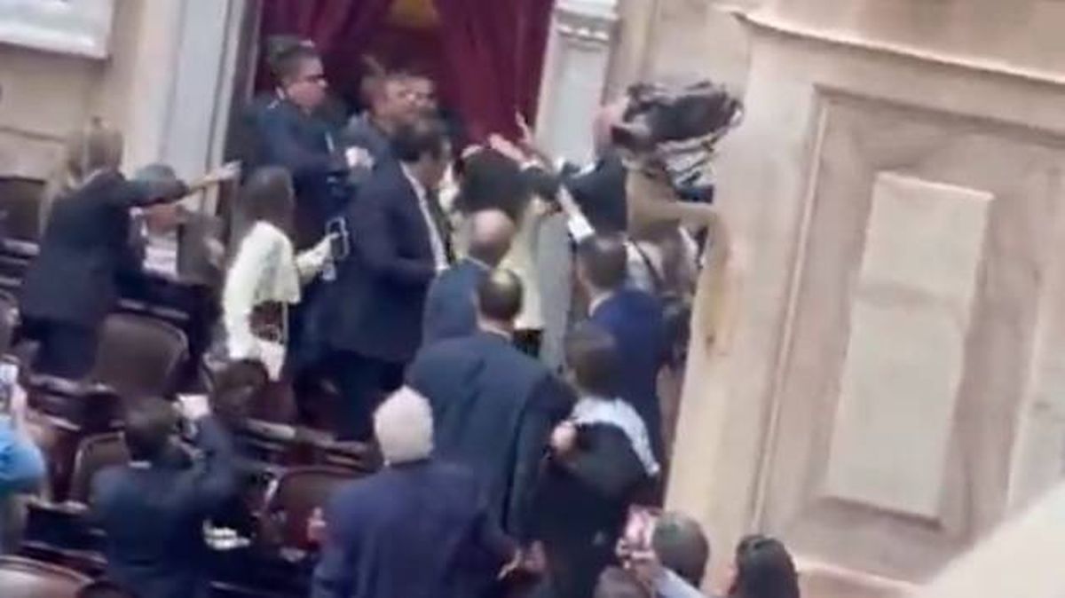 Uno de los instantes de la pelea en el recinto del Congreso de la Nación.