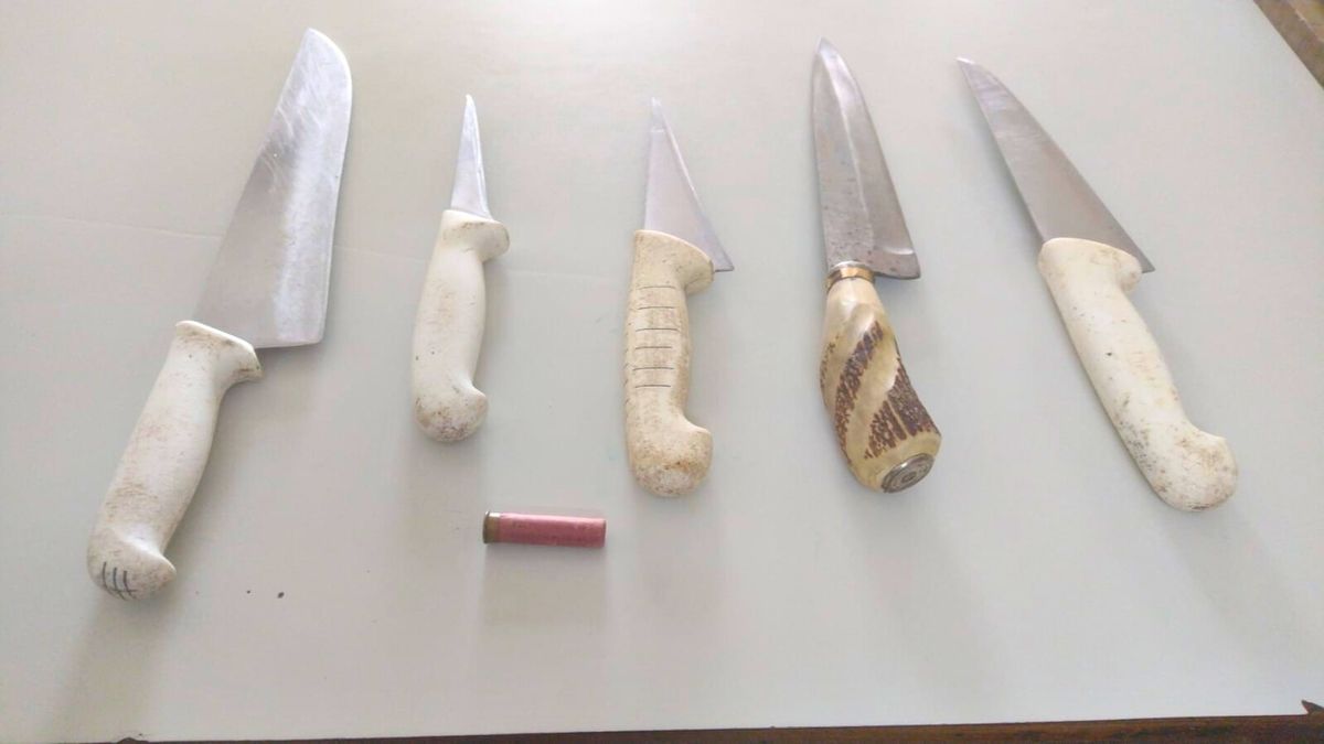 Los cuchillos que encontró la Policía en la casa donde se detuvo al acusado de un crimen en San Martín. Los cuchillos que encontró la Policía en la casa donde se detuvo al acusado de un crimen en San Martín.