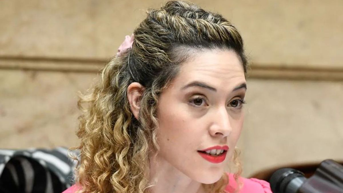 La diputada por Mendoza del bloque Coherencia, Lourdes Arrieta. La diputada por Mendoza del bloque Coherencia, Lourdes Arrieta.