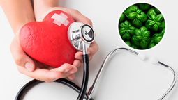 La hierba aromática que todos tienen en casa y ayuda a la salud ósea, cognitiva y cardiaca