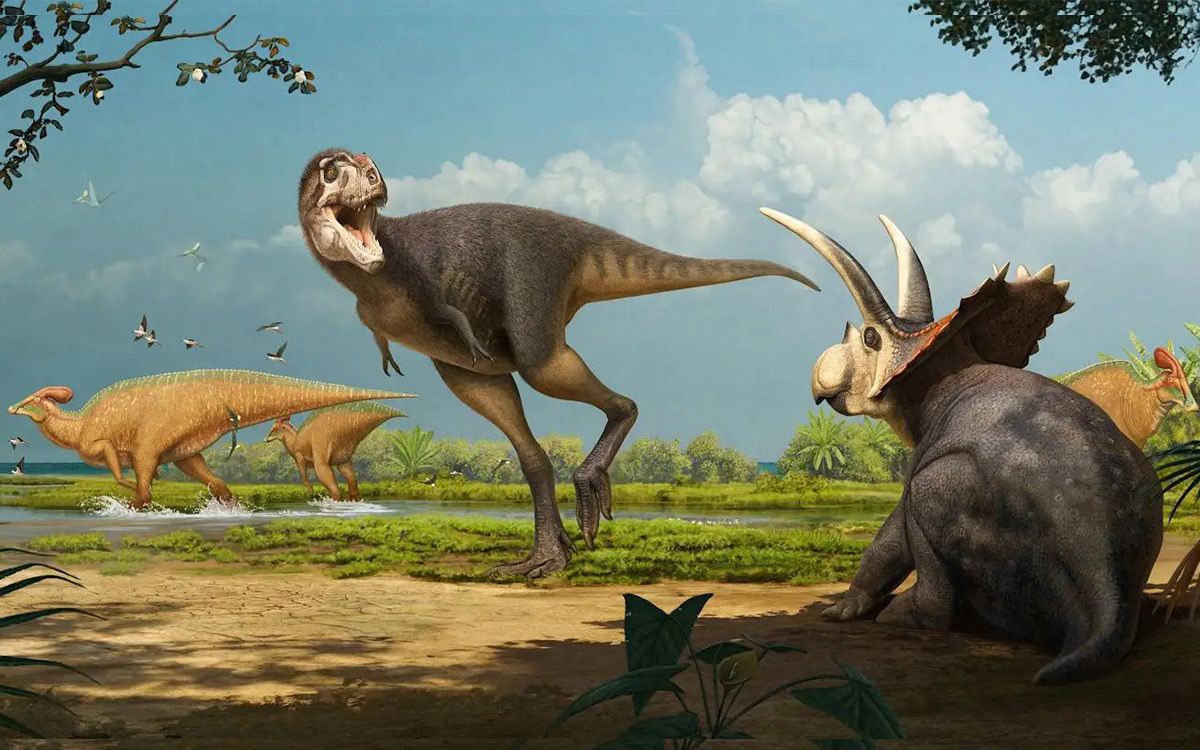 Paleontólogos descubren una nueva especie de tiranosaurio que vivió hace 70 millones de años Paleontólogos descubren una nueva especie de tiranosaurio que vivió hace 70 millones de años