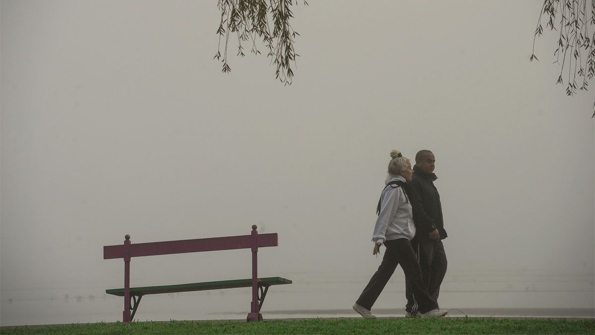 La densidad de las particulas de agua diseminadas en el aira, es lo que marca la diferencia entre niebla y neblina.