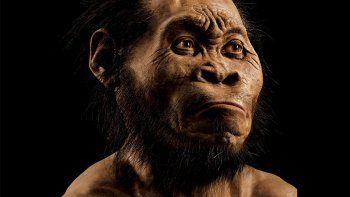 Hallan en una cueva huesos de un nuevo antepasado de la especie humana
