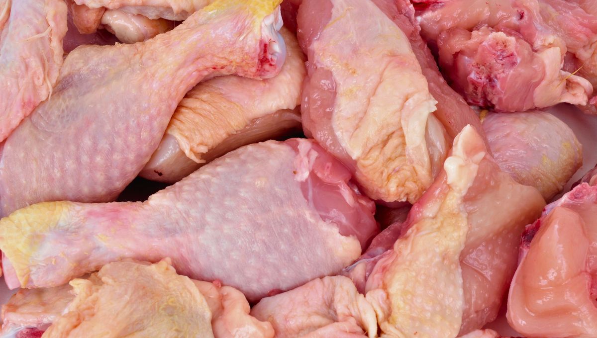 El pollo se puede combinar con verduras, salsas y utilizar en rellenos. El pollo se puede combinar con verduras, salsas y utilizar en rellenos.