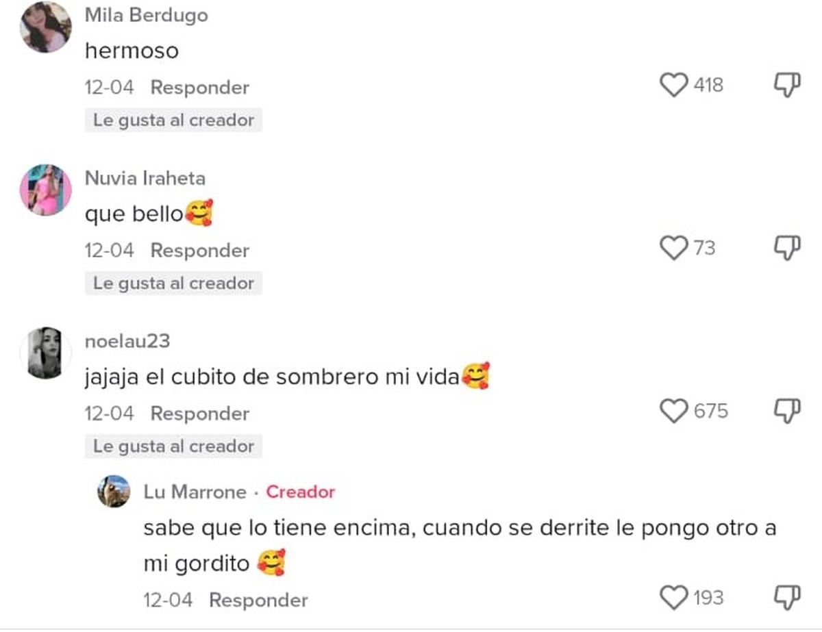 Un Chow Chow se hizo viral en Tiktok con los tiernos gestos