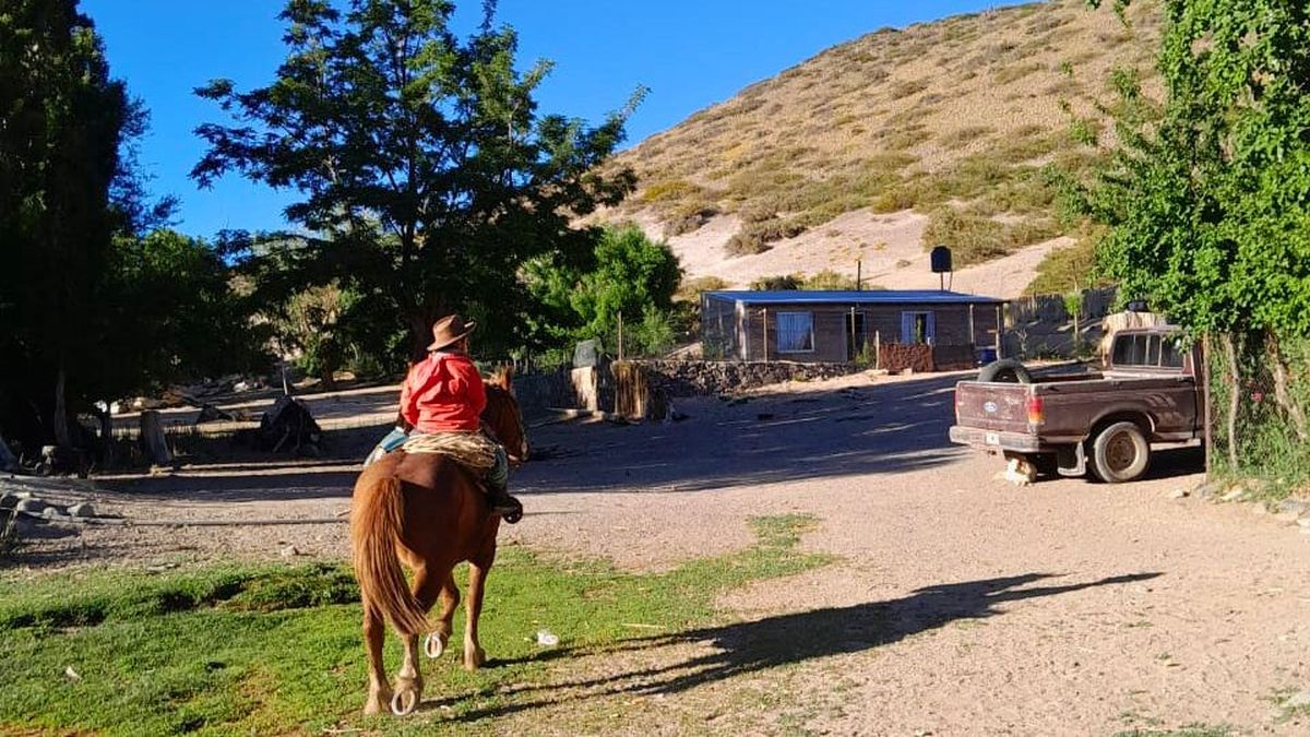 Una imagen diaria y cotianada, Ihan arriba de su caballo, comenzando la jornada. Una imagen diaria y cotianada, Ihan arriba de su caballo, comenzando la jornada.