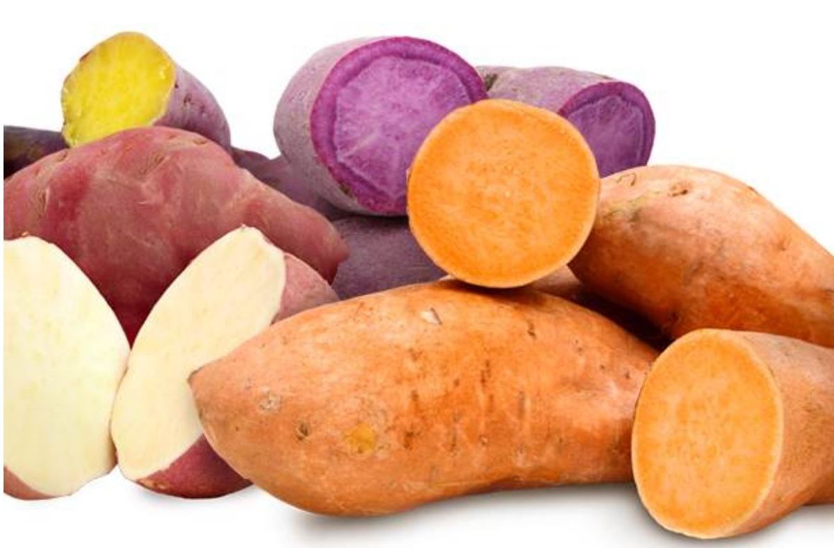 Beneficio de comer camote. Beneficio de comer camote.