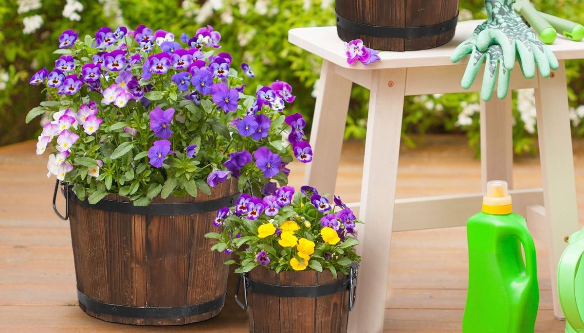 Decora tu jardín con estas macetas. Imagen: Freepik.&nbsp;