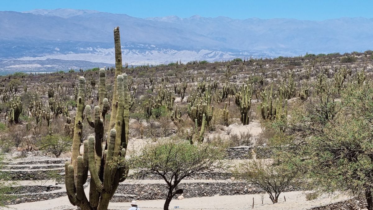 Ciudad Sagrada de Quilmes en Tucumán. (Foto: Federico Zalazar)