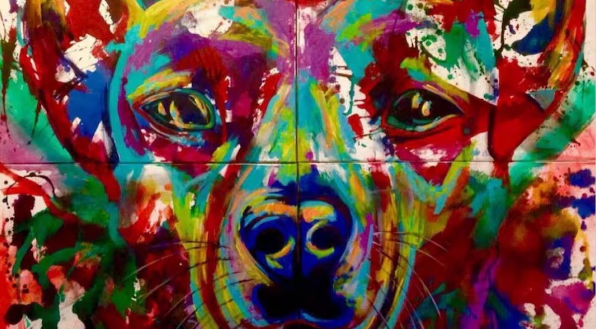 Tierna historia. Lila, la mascota de un edificio, tiene 6 casas y sus gastos están en las expensas. Tierna historia. Lila, la mascota de un edificio, tiene 6 casas y sus gastos están en las expensas.