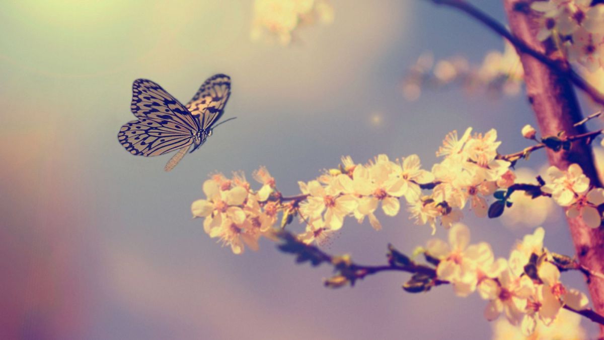 Tu jardín lucirá más natural mientras contribuyes con la biodiversidad local al ofrecer un refugio a los insectos. Tu jardín lucirá más natural mientras contribuyes con la biodiversidad local al ofrecer un refugio a los insectos.