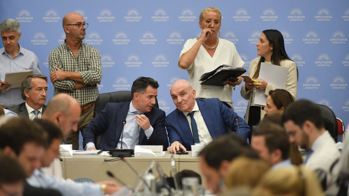 Los diputados Bornoroni y Espert han conducido, no sin polémicas, los debates en comisiones por la Ley Ómnibus. Los diputados Bornoroni y Espert han conducido, no sin polémicas, los debates en comisiones por la Ley Ómnibus.