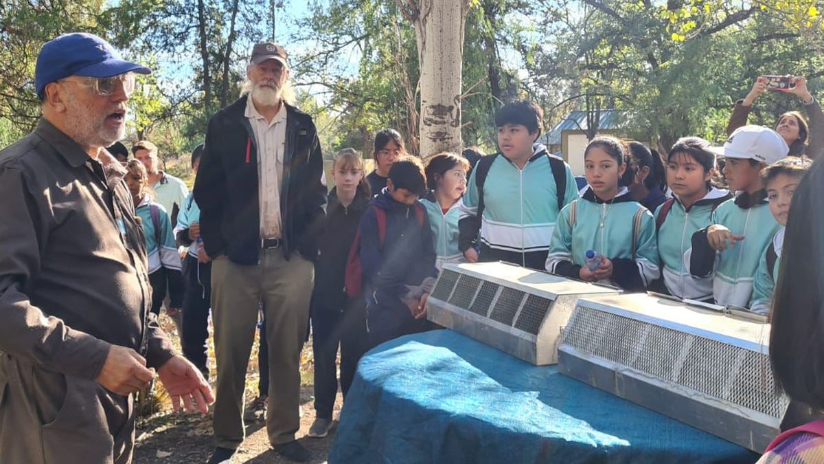 Algunas de las jaulas y los tramperos que fuerion destruidos. Algunas de las jaulas y los tramperos que fuerion destruidos.