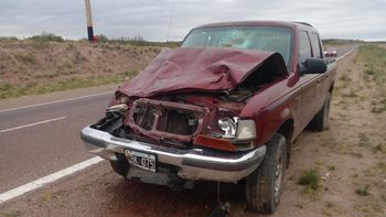 El conductor de una camioneta chocó con dos caballos que estaban sueltos en la Ruta 40 en Luján