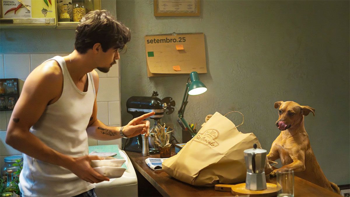 Esta película de Netflix esconde una hermosa historia de amistad pura. Esta película de Netflix esconde una hermosa historia de amistad pura.