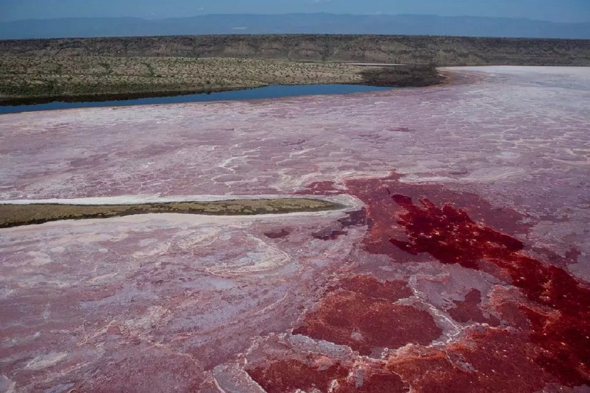 Natrón es un lago único en el mundo. Natrón es un lago único en el mundo.
