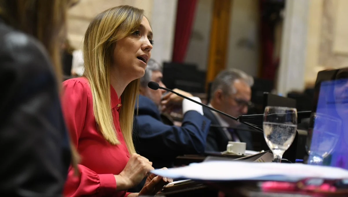 Anabel Fernández Sagasti brindó una conferencia de prensa en la Legislatura provincial