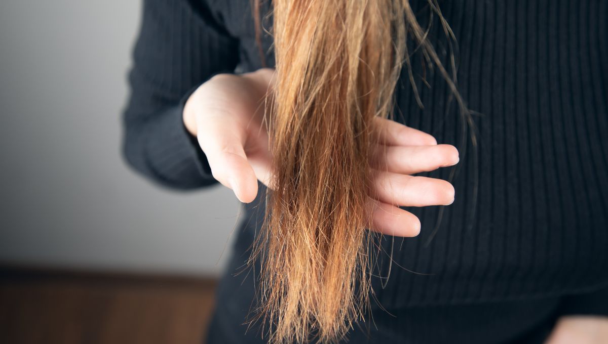 Con esta sencilla mezcla, puedes fortalecer tu cabello. Con esta sencilla mezcla, puedes fortalecer tu cabello. 