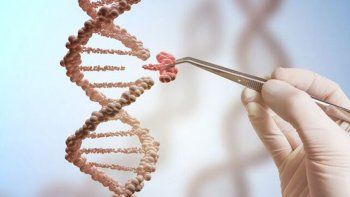 Madrid: curaron de cáncer a otros seis pacientes con la terapia CAR-T