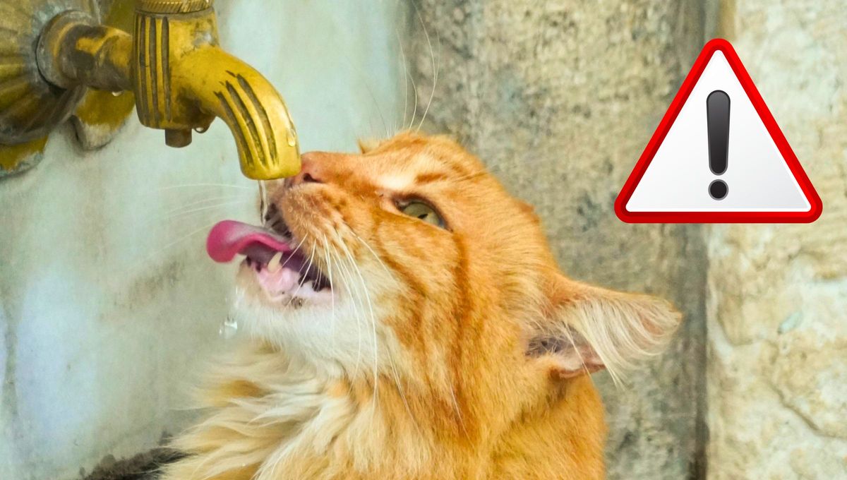 Nuevo corte de agua para este viernes: a partir de las 8:00 una zona se queda sin servicio