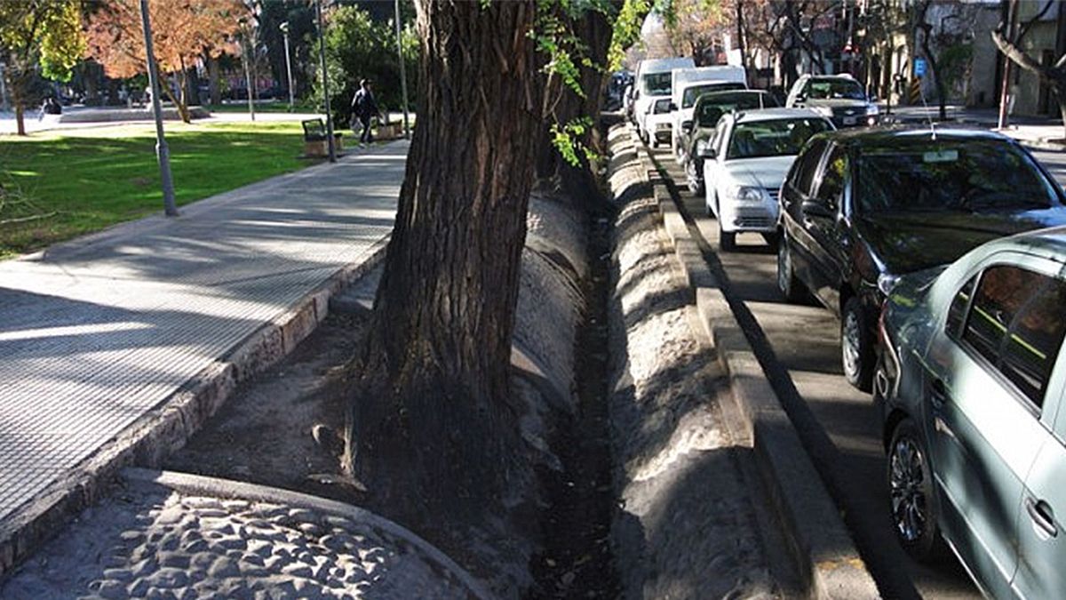 Ideadas por los huarpes, las acequias son hoy como las venas de los vergeles urbanos de Mendoza.