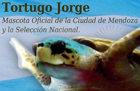 Insólito: la Capital nombró al Tortugo Jorge mascota oficial de la Selección