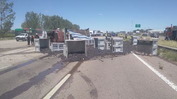 Volcó un camión cargado de uva en la Ruta 40 y los racimos quedaron desparramados