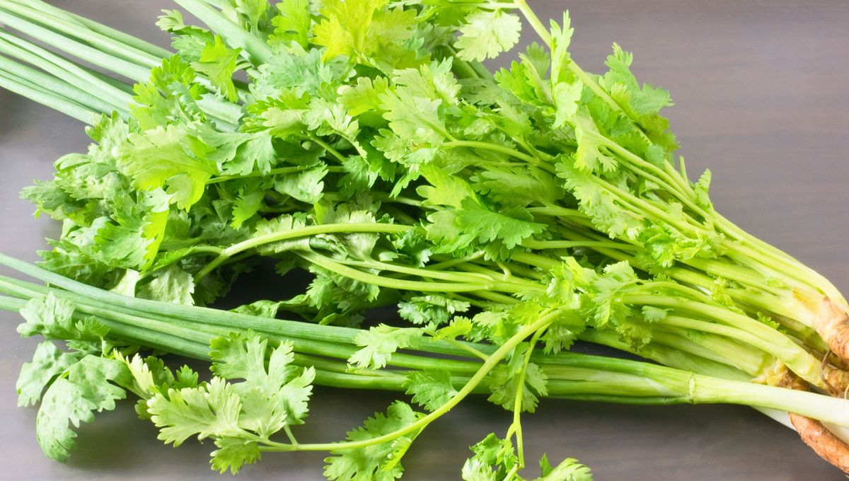 Dos alimentos con enormes diferencias de sabor, aroma y textura.&nbsp;