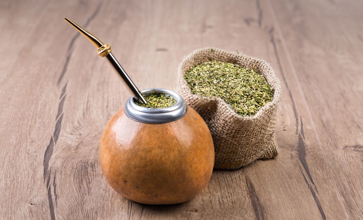 Yerba mate en las plantas: para qué se cree que sirve y por qué no recomiendan esta práctica Yerba mate en las plantas: para qué se cree que sirve y por qué no recomiendan esta práctica
