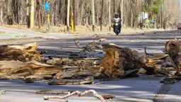 Algunas zonas de Mendoza quedaron bajo alerta meteorológica por fuertes vientos.