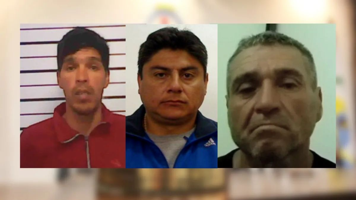 Baleada, apuñalada y quemada: avanzan 3 causas que estuvieron al borde del femicidio