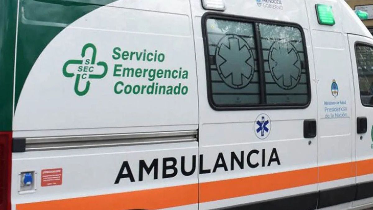 El hombre de 65 años que conducía el automóvil murió en Maipú al chocar contra un arbol y luego impactar con un camión&nbsp;