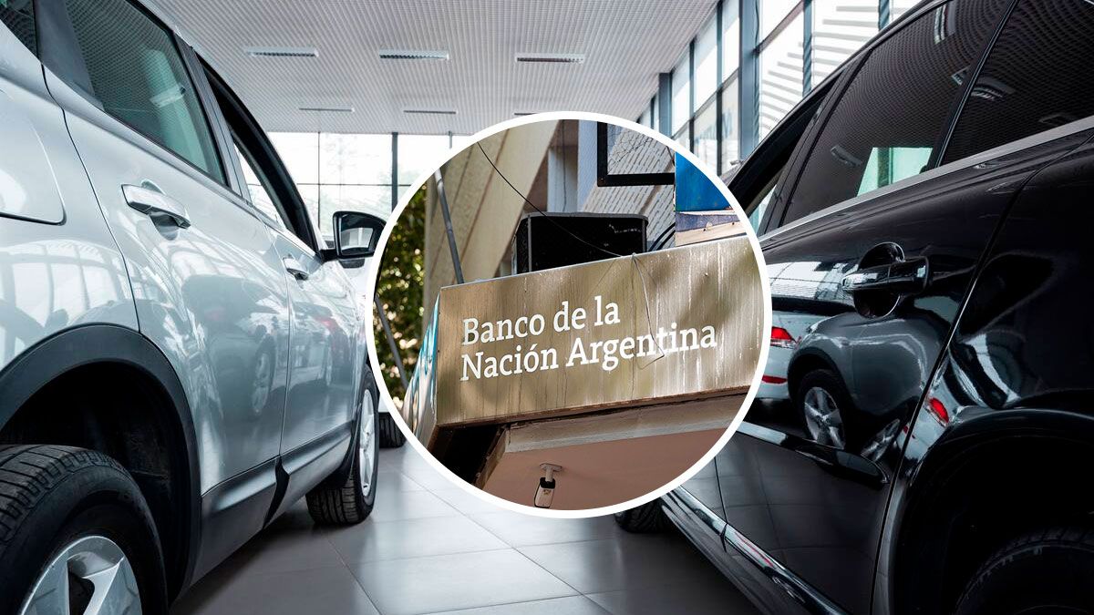 Las cuotas se debitan automáticamente de una caja de ahorro del Banco Nación. Las cuotas se debitan automáticamente de una caja de ahorro del Banco Nación.