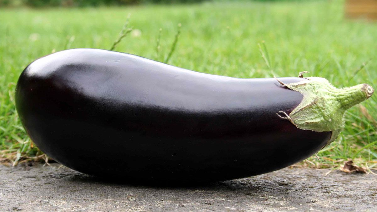 Es muy fácil y sencillo sacarle lo amargo a la berenjena y preparar todo tipo de recetas.