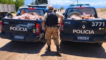 En allanamientos en 2 carnicerías por productos en mal estado encontraron carne de caballo