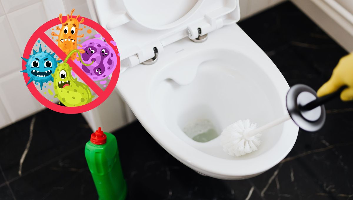 Estos organismos pueden ocasionar problemas de salud, sobre todo gastrointestinales. Estos organismos pueden ocasionar problemas de salud, sobre todo gastrointestinales. 