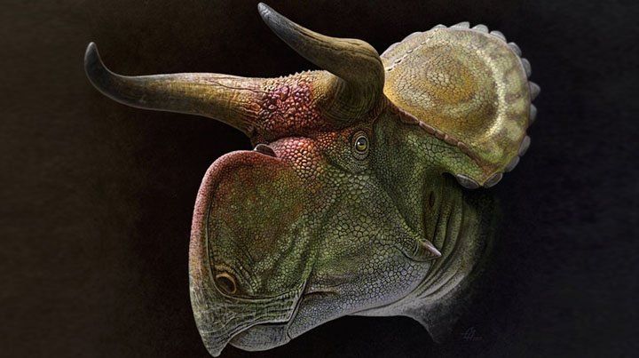 El misterio de los dinosaurios con cuernos