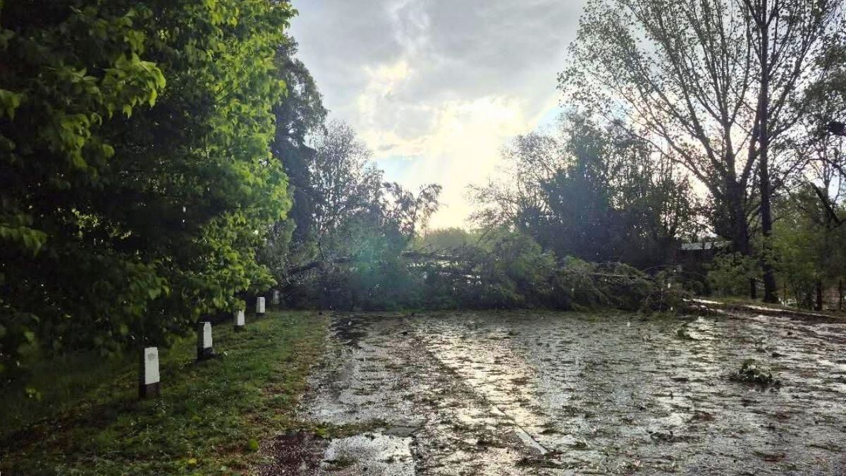 Los daños de la tormenta de San Rafael.