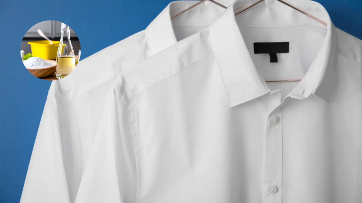 Este efectivo truco con vinagre dejará radiantes los cuellos y puños de las camisas en simples pasos.