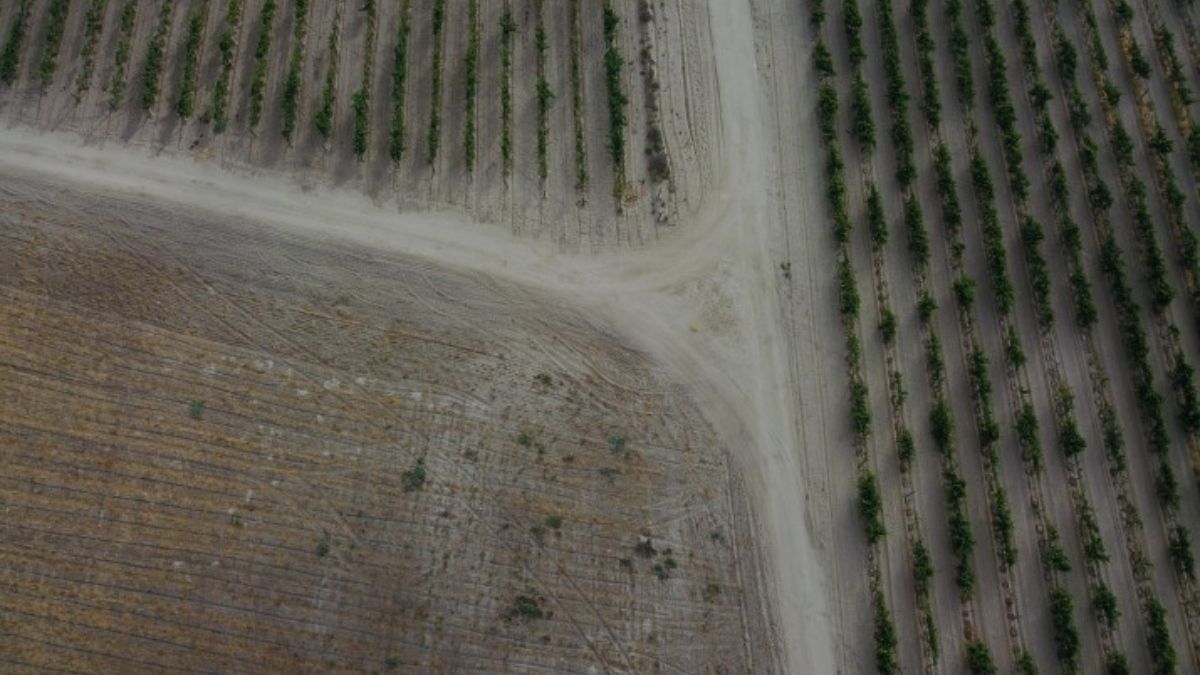 Campo en Baja California, México. (Foto: David Kovalenko, Unsplash) Campo en Baja California, México. (Foto: David Kovalenko, Unsplash)