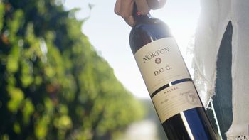 En medio de la crisis, bodega Norton busca aval de sus accionistas para el concurso de acreedores En medio de la crisis, bodega Norton busca aval de sus accionistas para el concurso de acreedores
