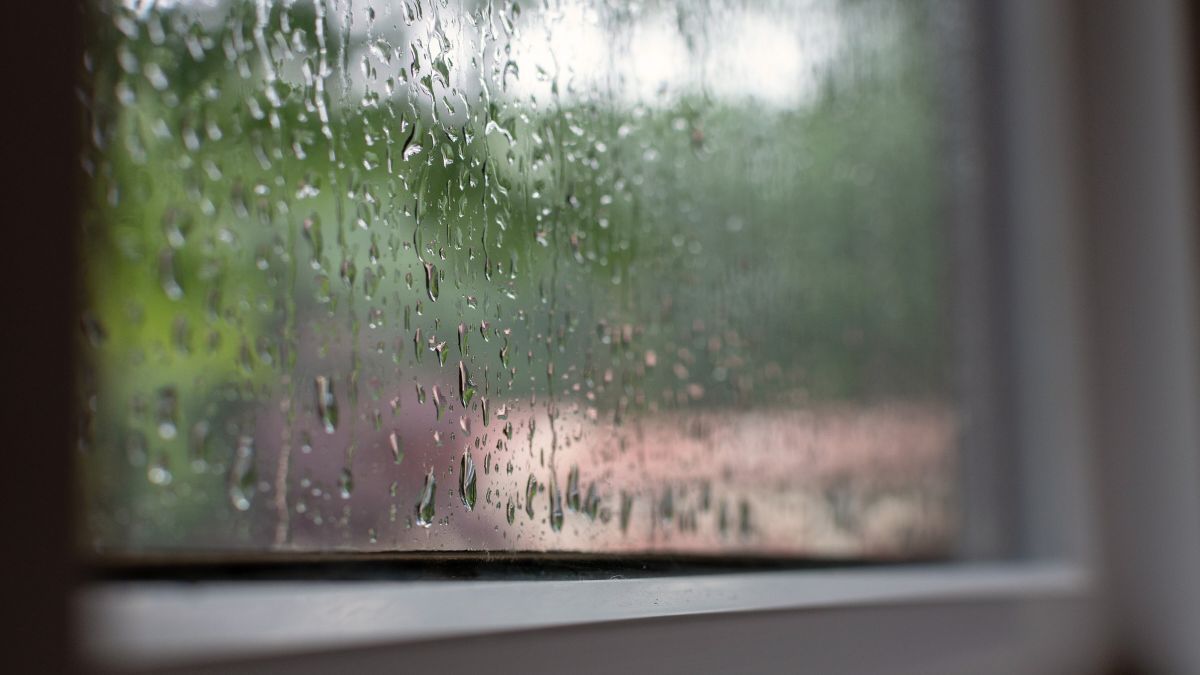 Para evitar que los ventanas y puertas de vidrio del hogar se empañen ten en cuenta estos trucos caseros. Para evitar que los ventanas y puertas de vidrio del hogar se empañen ten en cuenta estos trucos caseros.