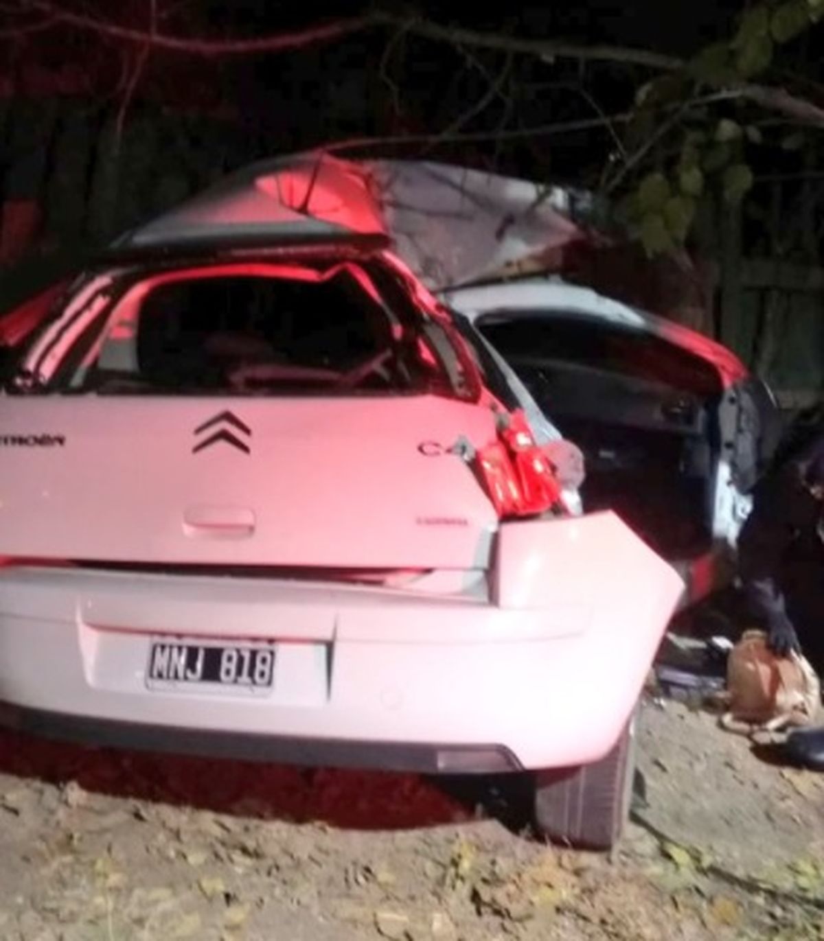 El automóvil Citroen C4 impactó violentamente contra un árbol, en Luján de Cuyo, y su conductora murió