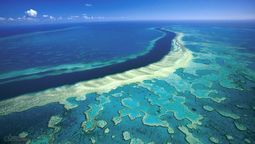La Gran Barrera de Coral es la estructura con vida más grande del planeta.