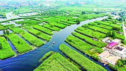 Una foto aérea muestra el lago Baiyangdian, provincia China de Hebei, en agosto. MOU YU / XINHUA