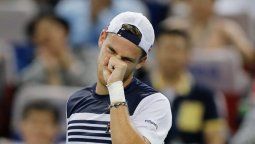 Schwartzman se quedó con las manos vacías ante Tsonga